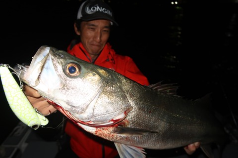 20201026194226_IMG_0884