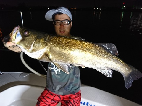 [画像:fef2ef0a-s.jpg]