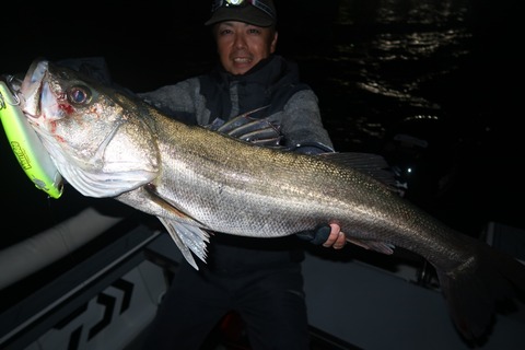 20221118195738_IMG_3389