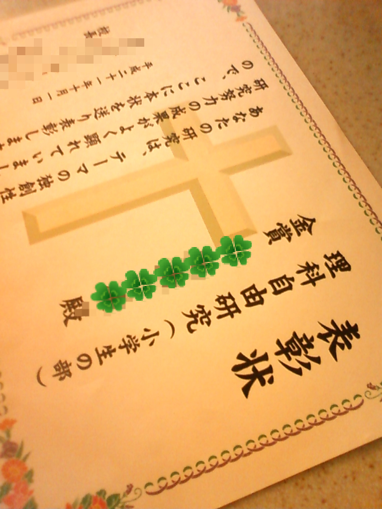 息子の自由研究 My Cuppa Tea 息子の自由研究 My Cuppa Tea