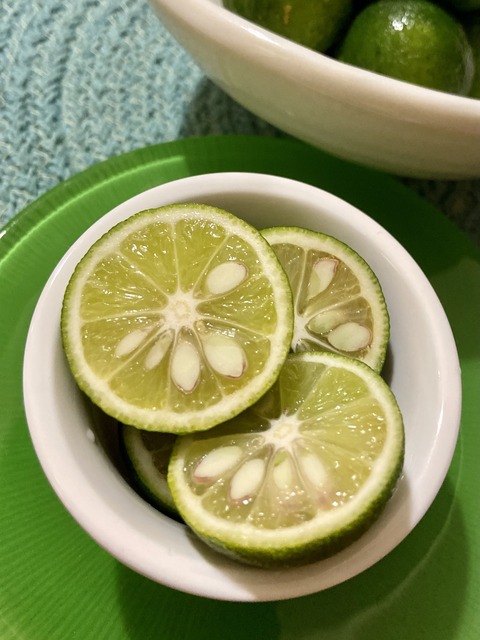 F06F5A40-EB8E-4B03-A784-30437BC60D9C