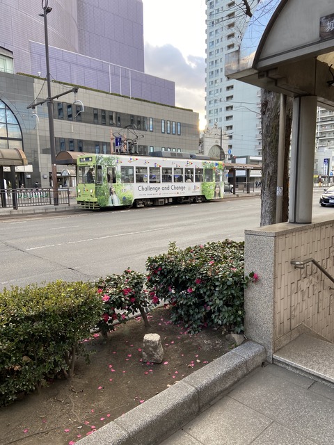 250EBCE7-70D8-4D6F-94C9-6B2CCA0B6017