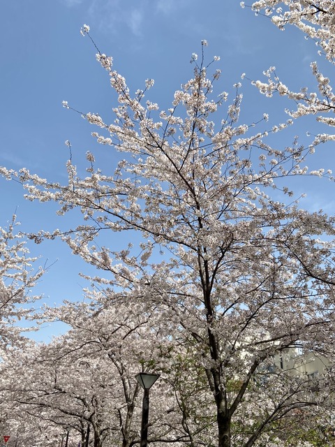 1D1CC26A-018B-4E92-88EC-4AB98A116407