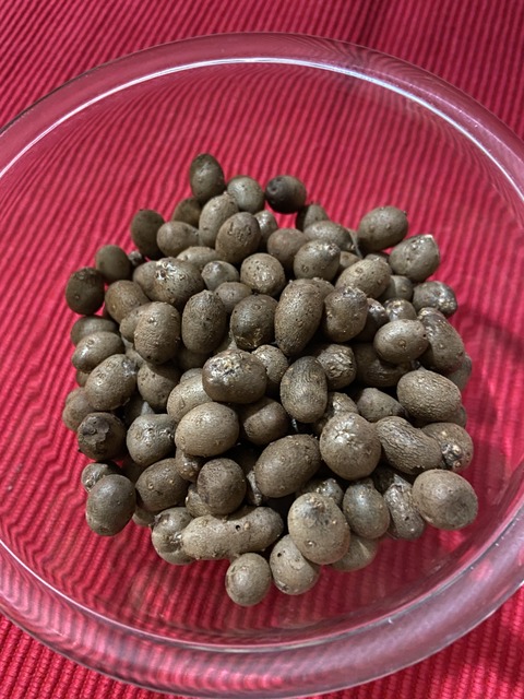 B10C6F91-8642-4607-9744-688C4B51CE9E