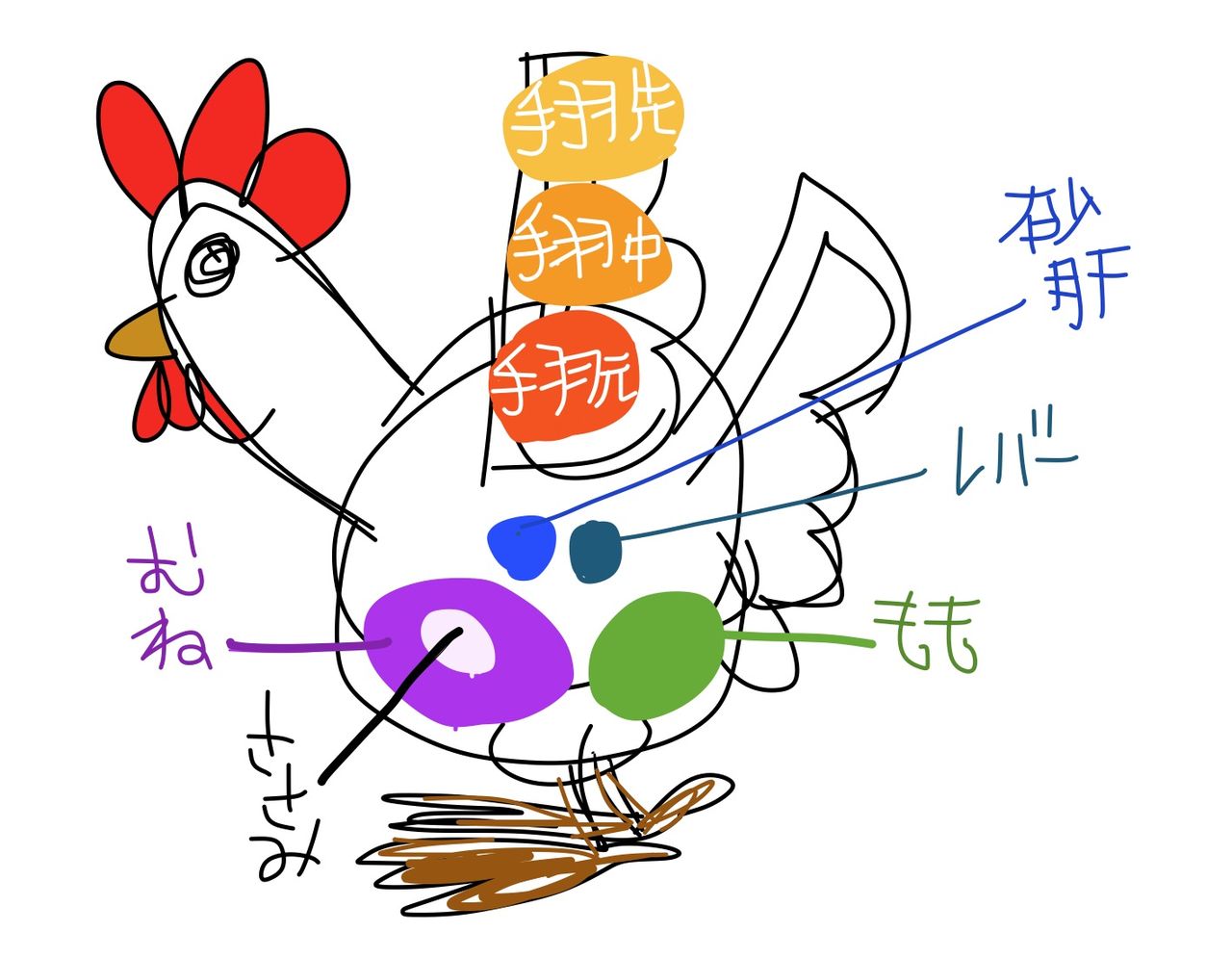 鶏の部位 特徴 を Ipadで描いて みちゃいました グルテンフリー生活もっとおいしく たのしく グルフリ