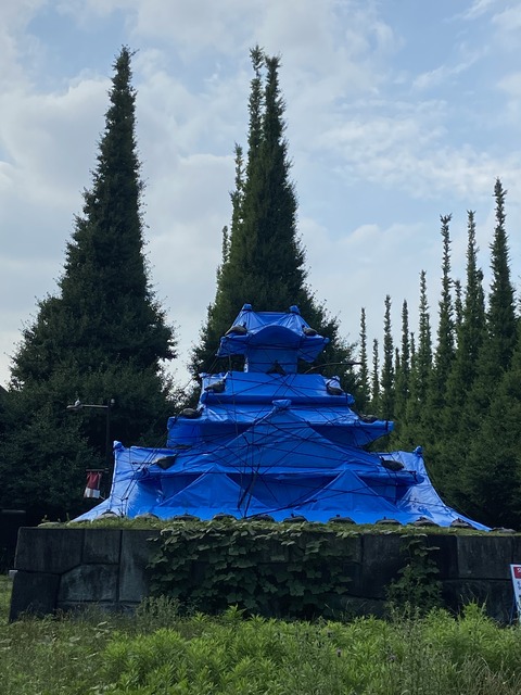 B441E380-6870-401D-86CE-E073B46A4777