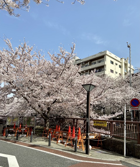 57761365-EA93-4C9D-BF66-8D42D4496E00