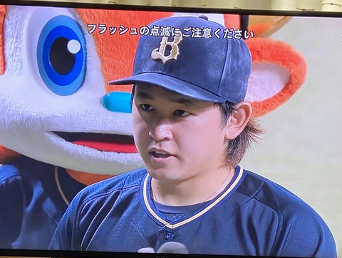 ブルちゃんと