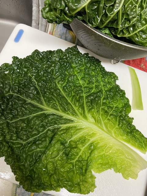 450903EB-7761-4561-AD15-04F0B8230E65