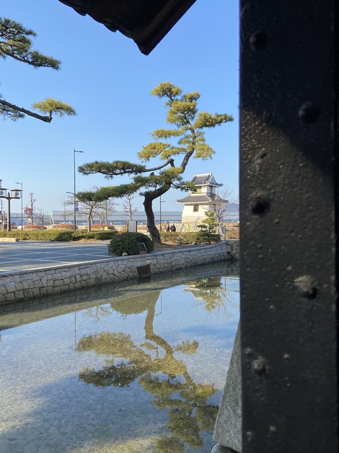 8FE9B457-9774-4247-807B-0653A829E6F3