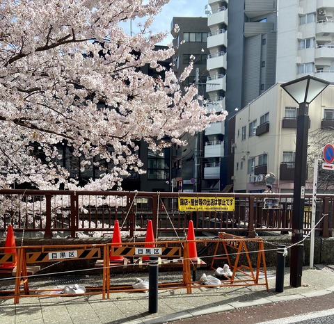 B9B911D6-8EE2-47C0-B758-70E53782B9E2