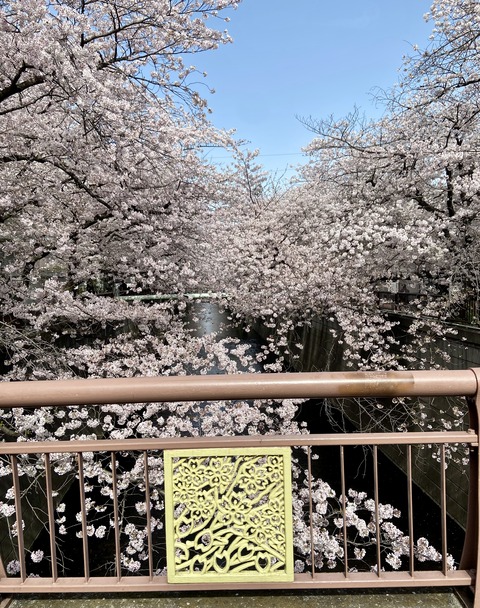 5F168F3D-2A10-4247-9C01-EEAE0BF87476