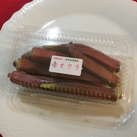 90188A7B-015E-4205-B04C-DF4877CE58BD