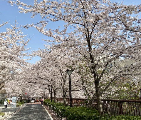 EA7DDCAB-BD86-49C1-857A-B3D1E4B87C4C