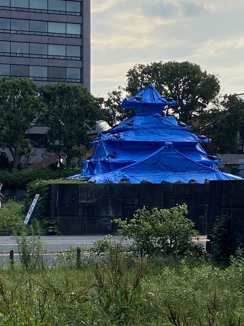 C96490F3-1456-47A0-A13A-A314EF189432