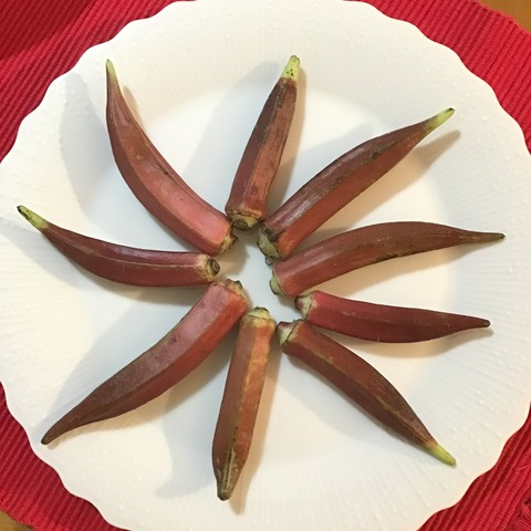 DA610D41-BAD9-44FD-AB21-B5669A06F437