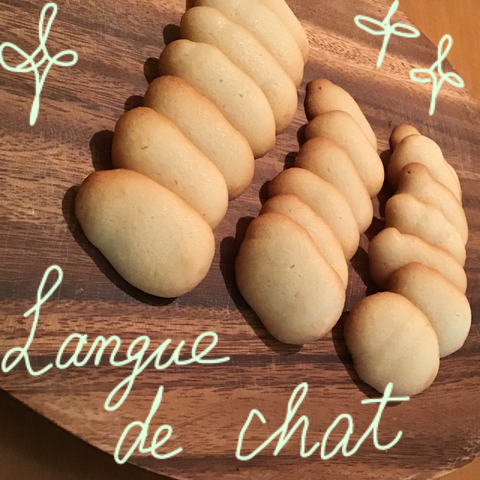 02366073-8669-4D0D-9766-79D10270A538