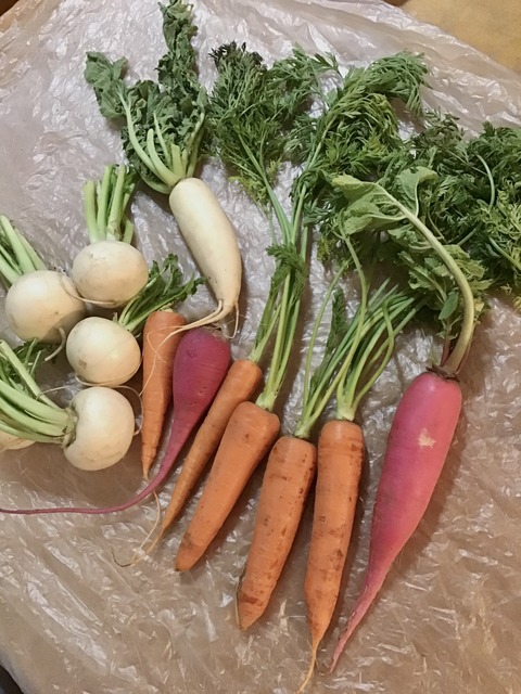 E65133C5-E92F-44F4-A301-24403CCBDB26