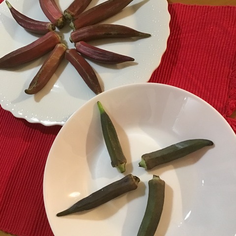 6A7DEA54-16C0-4635-AC38-6A6E64641A67