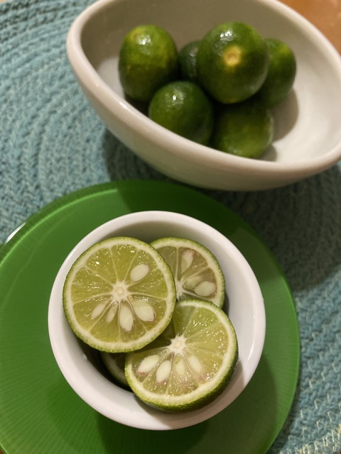 17B18221-63DB-4DDF-AA8F-3265235C3E9D