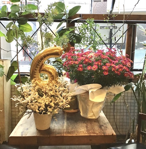 DDF56EFF-747A-452E-8DEB-20FB709927D9