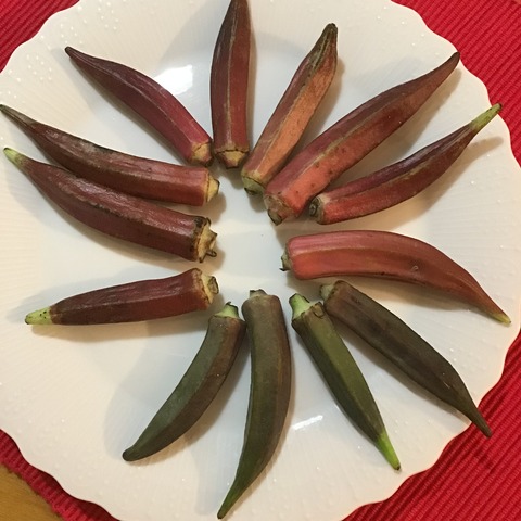 91A06B57-C638-4738-B8B0-67A56BC4298A