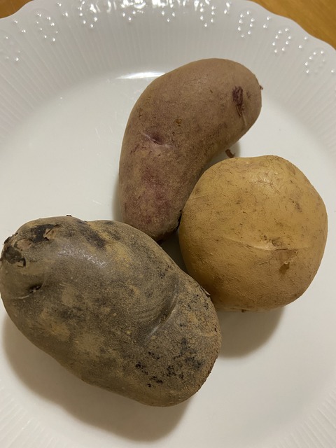 81DE860E-9B34-4305-97C0-88B8762E263C