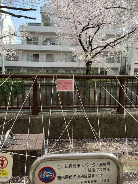 BDD9B064-F6C6-481A-8CD0-DEA94E5A589A