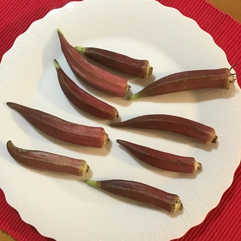 4CCA9135-A6D8-4ED8-91AD-5B2092319038