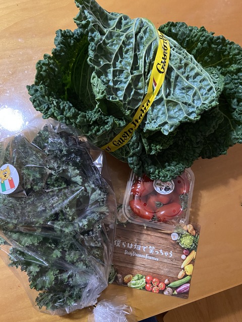 4DA6AAE7-0FDE-46B0-8721-EE95EAFB221B