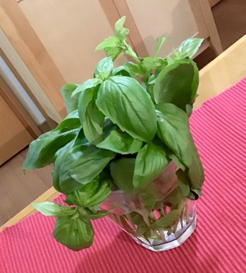 CA7FBA8C-4244-4958-9EE9-1B88E10B0555