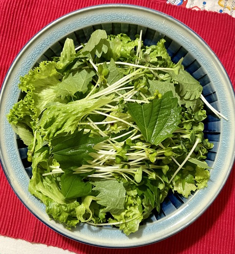 51A1ABA6-D19C-4AFD-A2BF-9C9DD3C5D560