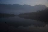 4402a72d.jpg