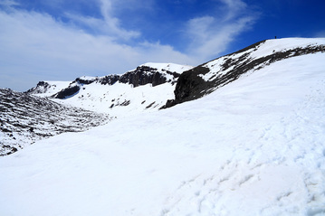 IMG_4595