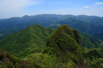 �ͥ�����������