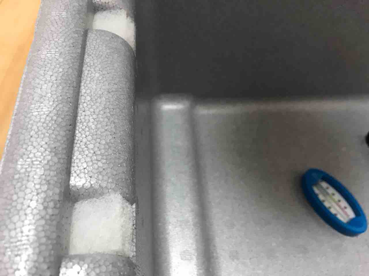 冬に買ってきたメダカはいきなり外で飼う事は可能なのか 多道楽 多趣味な男のスローライフ