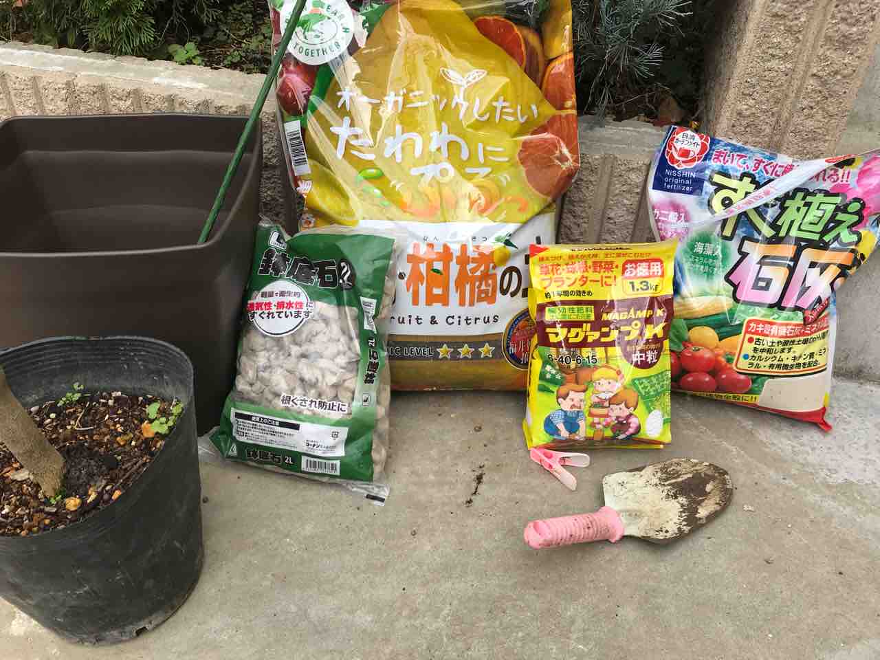 ミカンの植え替え完了 土を買うと教科書が付いてくる 多道楽 多趣味な男のスローライフ