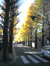 041202_1412~001.jpg