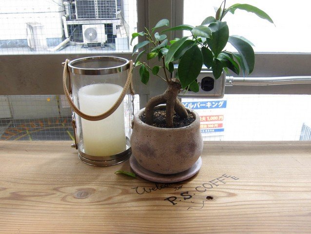 静岡カフェラリーシリーズ16 その2 Pearl Street Coffee Goods パール ストリート コーヒー グッズ 静岡 新静岡 つ な関西人の観察日記 静岡カフェラリーシリーズ16 その2 Pearl Street Coffee Goods パール ストリート コーヒー グッズ 静岡 新静岡 つ な関西人の観察日記