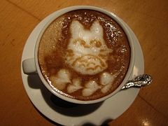 anea_cafe_gakudai_05