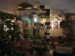 salo_cafe_04