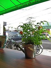 GreenPit_03