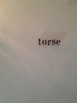 torse_2013_01