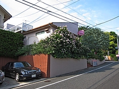 cafe_A_duex_01