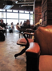 SUZU_CAFE_S_02