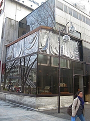 montoak_01