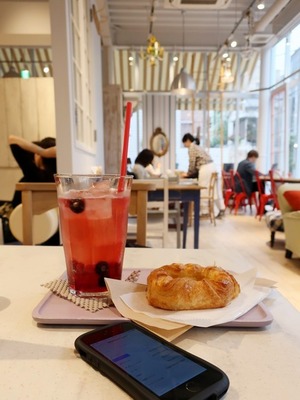 DETOUR_A_BLEUET_j_08