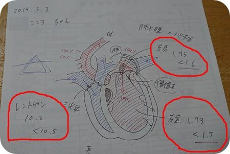 こころ1552