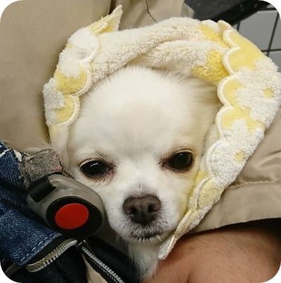 こころ1530