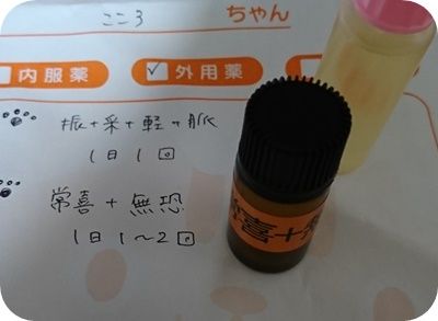 こころ1536